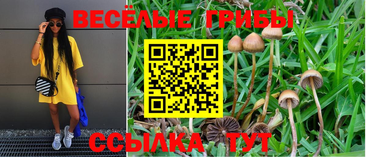 Псилоцибиновые грибы GOLDEN TEACHER  Вход с VPN  Армавир 